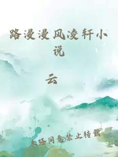 路漫漫風(fēng)凌軒小說