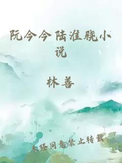 阮今今陸淮驍小說