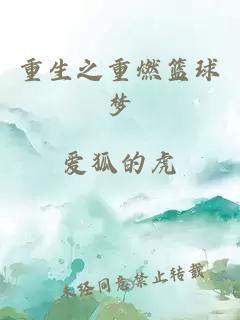 重生之重燃籃球夢