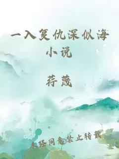 一入復(fù)仇深似海小說
