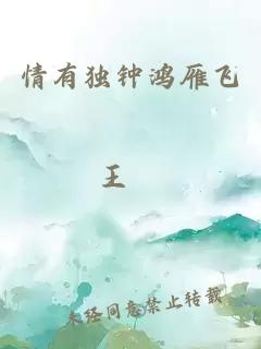 情有獨(dú)鐘鴻雁飛