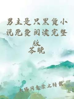 男主是只黑貨小說免費閱讀完整版