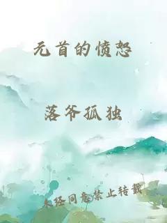 元首的憤怒