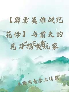 【霹靂英雄戰(zhàn)紀(jì)花修】與前夫的二三事