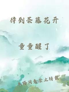 待到荼藤花開