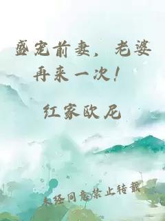 盛寵前妻，老婆再來一次！