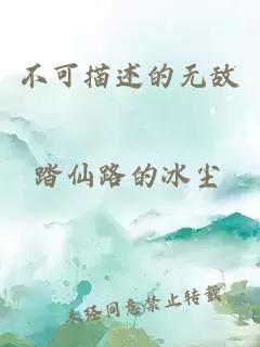 不可描述的無敵