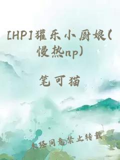 [HP]獾樂小廚娘(慢熱np)