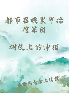 都市召喚黑甲抬棺軍團