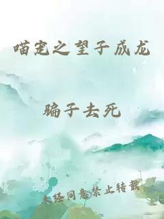 喵寵之望子成龍