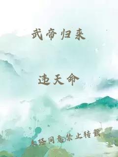 武帝歸來